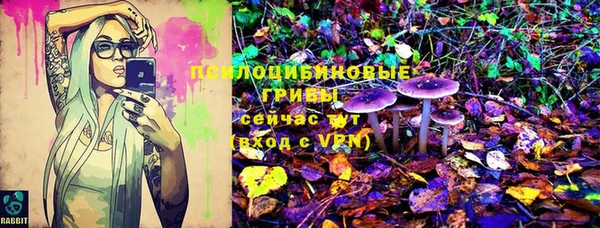 метадон Арсеньев