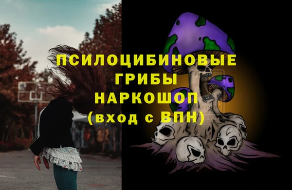 спайс Аркадак