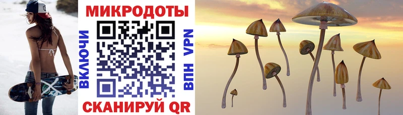 Псилоцибиновые грибы Psilocybe  hydra ONION  Мирный 